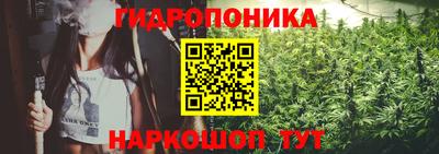 mdpv Лесосибирск