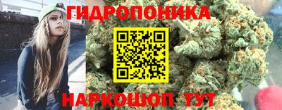 mdpv Лесосибирск